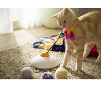 Jouet chat